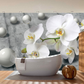 Fotobehang poster 1882 bloemen witte orchidee met parels