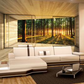 Fotobehang poster 1277 uitzicht van binnen naar bos bomen