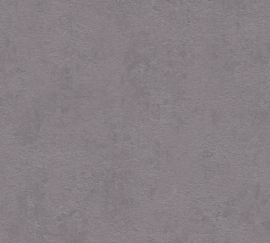 AS 374184 donker grijs kalkzandsteen beton