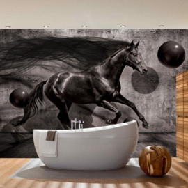 Fotobehang poster 2533 dieren paarden zwart black horse