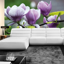 Fotobehang poster 0439 planten bloemen orchidee waterplant