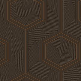 Z12847 bruin grafisch hexagon