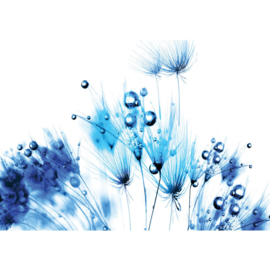 Fotobehang poster 0789 bloemen planten blauw