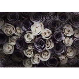Fotobehang poster 0910 bloemen rozen roos vintage
