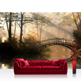 Fotobehang poster 0264 bos bomen brug water herfst