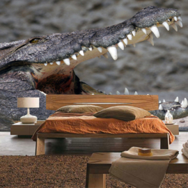 Fotobehang poster 2055 dieren krokodil roofdier