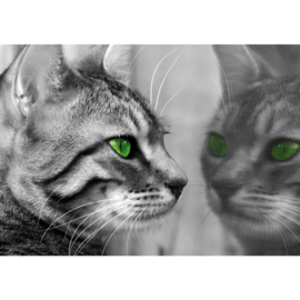 Fotobehang poster 1826 kat raam dier groene ogen zwart wit poes