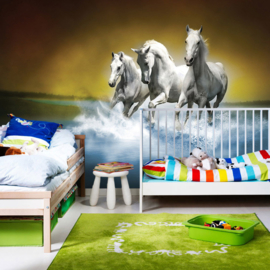 Fotobehang poster 1014 dieren witte paarden blauw