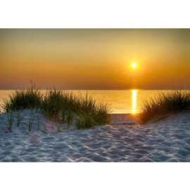Fotobehang poster 4577  strand duinen zee zand