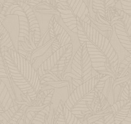 60750 Strelitzia zinc blad