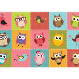Fotobehang poster 2090 kinderkamer uil vogels patchwork
