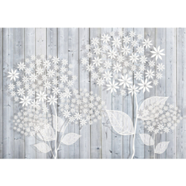 Fotobehang poster 1410 hout grijs bloemen wit