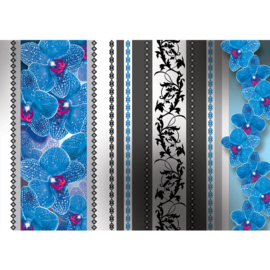 Fotobehang poster 1719 bloemen orchidee blauw strepen