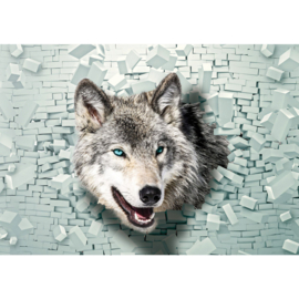 Fotobehang poster 1387 dieren honden husky wolf blauwe ogen stenen muur