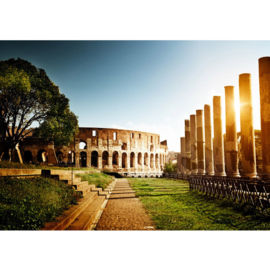 Fotobehang poster 0052 colosseum italie rome