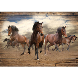 Fotobehang poster 3221 dieren paarden bruin paard