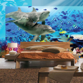 Fotobehang  poster 2092 dieren dolfijn onderwater zee koraal vissen