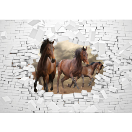 Fotobehang poster 3383 dieren paard bruin stenen muur wit