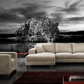 Fotobehang poster 0614 tijger natuur wilde dieren zwart wit
