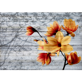 Fotobehang poster 1415 hout grijs bloemen oranje