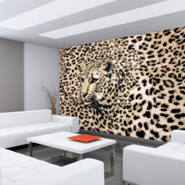 Fotobehang poster 3076 diren huid vacht tijger luipaard zwart wit roofdier kop