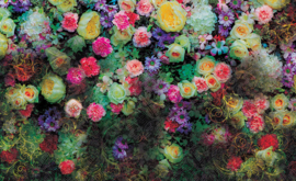 Fotobehang poster 2035 bloemen rozen kleurrijk