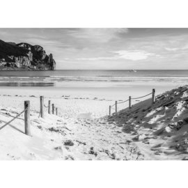 Fotobehang poster 1850 strand zee uitzicht beach
