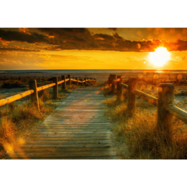 Fotobehang poster 0064 natuur zonsondergang steiger strand duinen houten planken