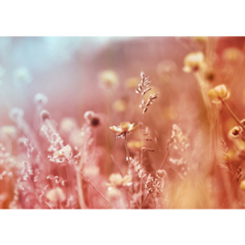 Fotobehang poster 0198 bloemen weide