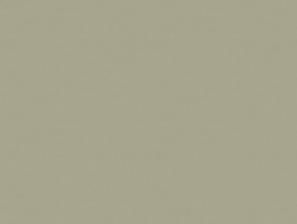 Z54513 Summertime beige beige