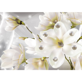 Fotobehang poster 1773 bloemen magnolia parels planten
