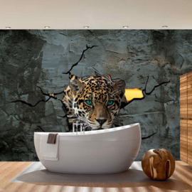 Fotobehang posdter 2861 tijger luipaard roofdier kop  blauwe ogen beton muur
