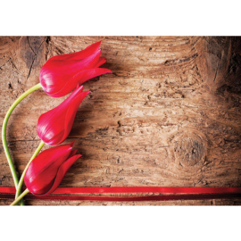 Fotobehang poster 0830 hout tulpen rood