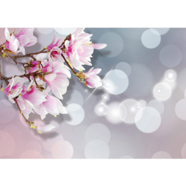 Fotobehang poster 0976 bloemen orchidee