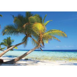 Fotobehang poster 1101 strand palmboom zee uitzicht tropen