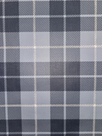 Schotse ruit burberry blauw