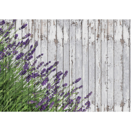 Fotobehang poster 1755 hout grijs bloemen lavendel