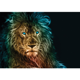 Fotobehang poster 1547 dieren leeuw roofdier licht reflectie