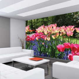 Fotobehang poster 2047 bloemen bollenvelden tulpen