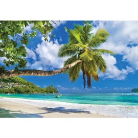 Fotobehang poster 3288 cariben zee palm strand