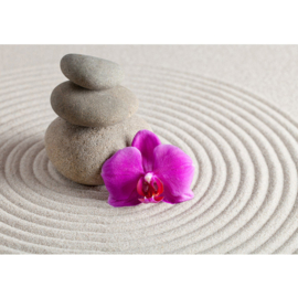 Fotobehang poster 0388 orchidee bloemen stenen wit