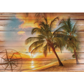 Fotobehang poster 3181 kompas windroos strand palm hout planken