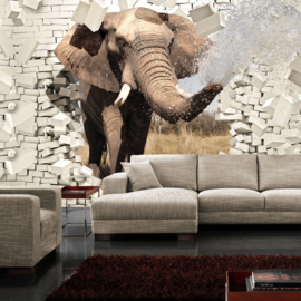 Fotobehang poster 2430 dieren olifant muur