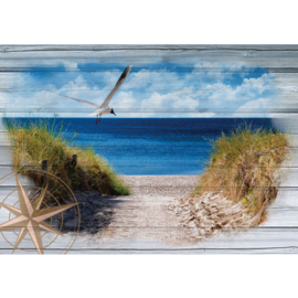 Fotobehang poster 3180 dieren vogel meeuw windroos kompas strand duinen