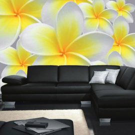 Fotobehang poster 0274 bloemen orchidee geel