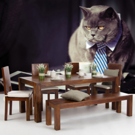 Fotobehang poster 3307 dieren kat poes siamees grijs stropdas