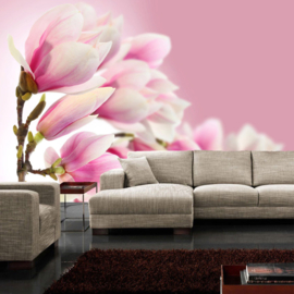 Fotobehang poster 0014 magnolia bloemen bloesem roze