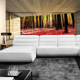 Fotobehang poster 2158 raam kamer uitzicht bos bomen