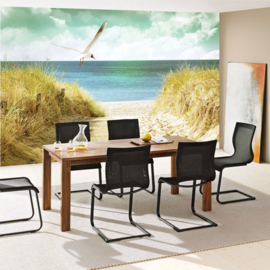 Fotobehang poster 4585 duinen strand zee dieren meeuw vogel