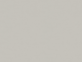 Z54512 Summertime warm grijs